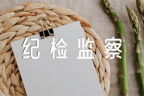 纪检监察干部政治建设个人自查材料汇编5篇
