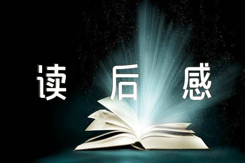 红楼梦读后感结尾汇编3篇