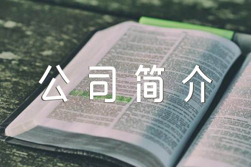 房地产公司简介(通用4篇)