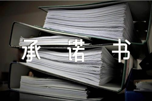 关于组织生活会个人整改承诺书【五篇】