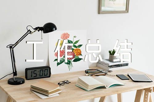 幼兒園黨建工作總結(jié)匯報(bào)匯編4篇