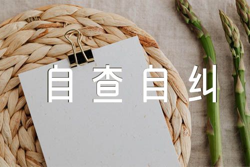 形式主义官僚主义自查自纠报告(通用5篇)