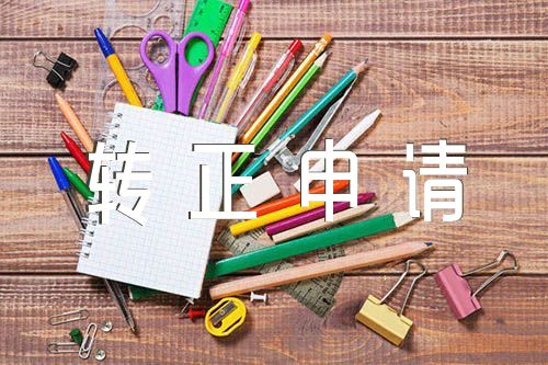 转正申请自我评价【六篇】