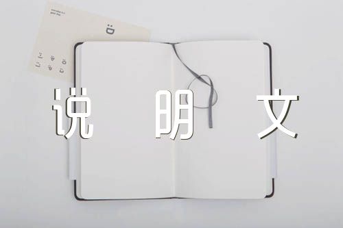 我们的生活少不了它作文500字说明文【汇编四篇】