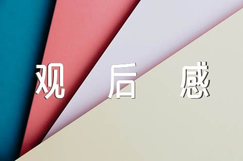 《这就是中国》观后感精选5篇