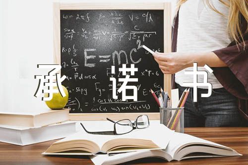 黨支部書(shū)記公開(kāi)承諾書(shū)(錦集3篇)