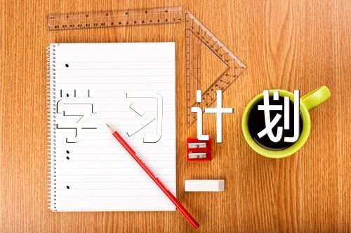 醫(yī)院黨支部學習計劃范文四篇