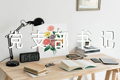 局党支部书记抓党建述职范文(精选6篇)