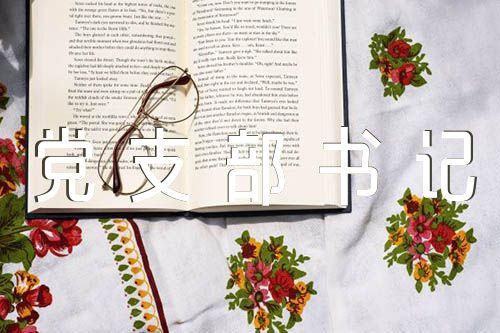 村党支部书记年度考核个人总结【3篇】