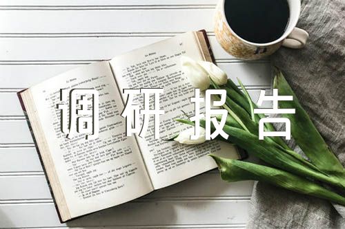 視覺傳達設(shè)計專業(yè)行業(yè)調(diào)研報告精選四篇