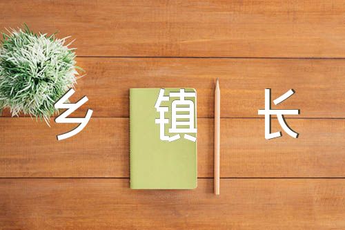 副乡镇长个人述职述廉报告汇编4篇