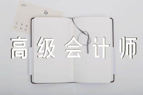 專業技術工作總結高級會計師(合集4篇)