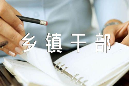 2023年述责述廉报告乡镇干部范文(精选三篇)