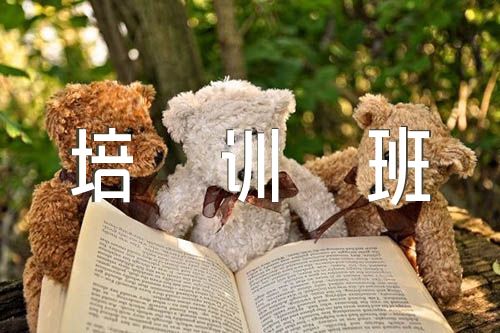 团干部联合培训班启动仪式主持词汇编9篇