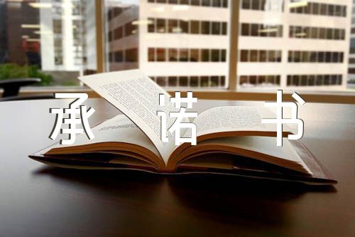 个人借款承诺书集合3篇
