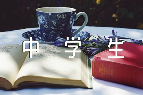 中学生自我评价300字锦集三篇