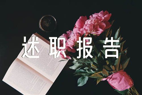 程序員述職報告【十七篇】