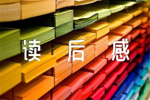 红楼梦读后感600字汇编6篇