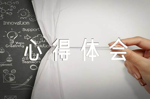 辅警队伍教育整顿心得体会集合9篇