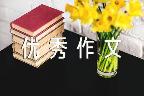 黄山世界文化遗产小学生优秀作文范文(通用5篇)