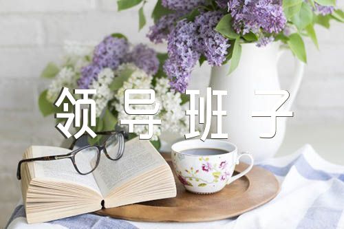 国企领导班子述职述廉报告(锦集4篇)