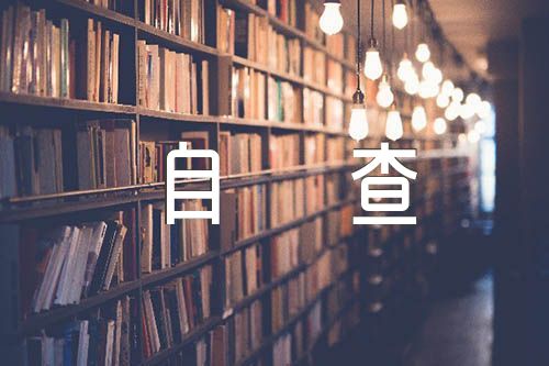 关于落实巡视整改回头看自查报告【五篇】