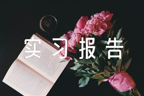 工程造价实习报告集合7篇
