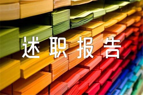 信访主任述职报告(合集4篇)