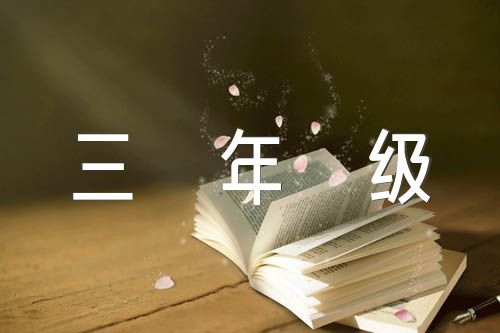 春节的作文三年级精选3篇