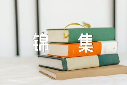 小学阅读活动总结锦集【五篇】