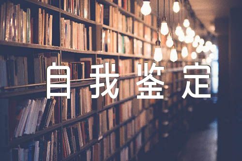自我鉴定300字精选9篇