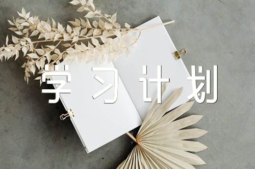 学习计划300字【汇编八篇】