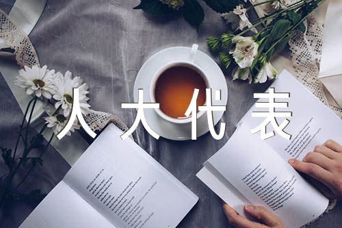 人大代表事迹材料范文七篇