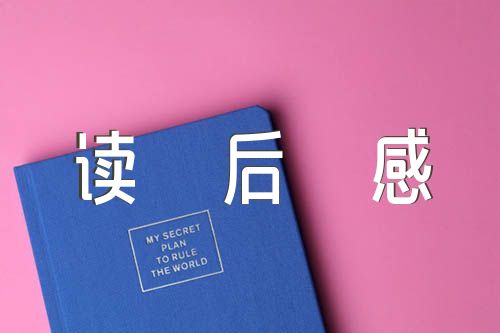 向解放军学习管理读后感集合5篇