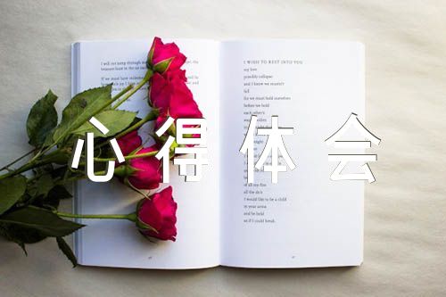 六项规定心得体会(锦集3篇)