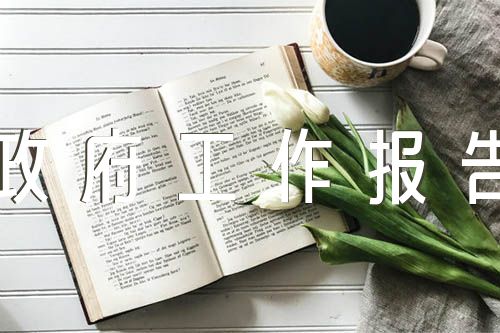 教师人大代表审议政府工作报告发言精选3篇