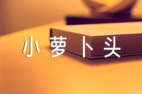 小萝卜头的故事(合集三篇)
