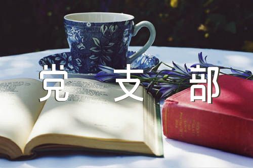 党支部班子查摆问题清单及整改措施汇编5篇