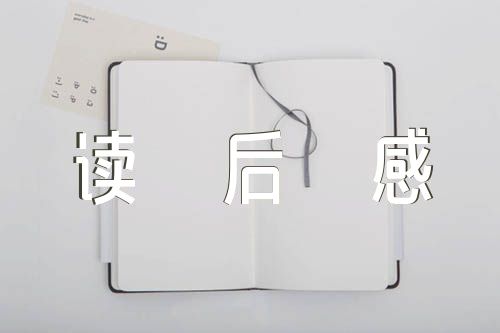 中国童话读后感300字(锦集5篇)