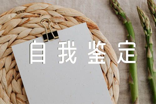 巡察工作自我鉴定精选三篇