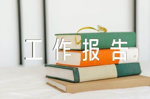 个人的工作报告格式范文十五篇