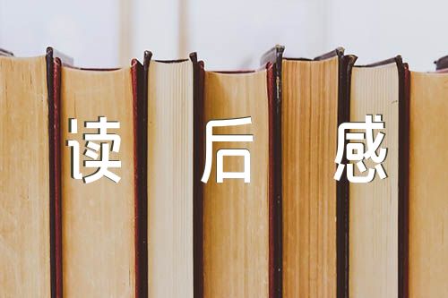 苏菲的世界读后感精选8篇