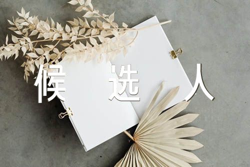 党支部候选人考察材料范文四篇