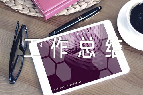 车管所窗口辅警工作总结(通用3篇)