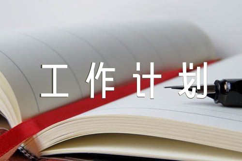 项目申报工作总结及工作计划精选9篇