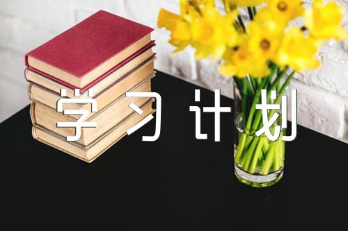 2022年党支部年度学习计划集合4篇