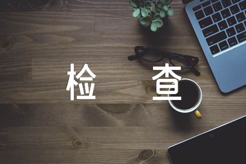 2024年支部委员个人对照检查材料精选9篇