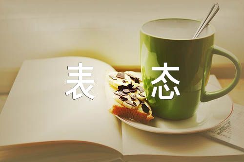村级巡查村书记表态发言集合5篇