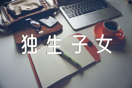 獨生子女證明模板范文(精選6篇)