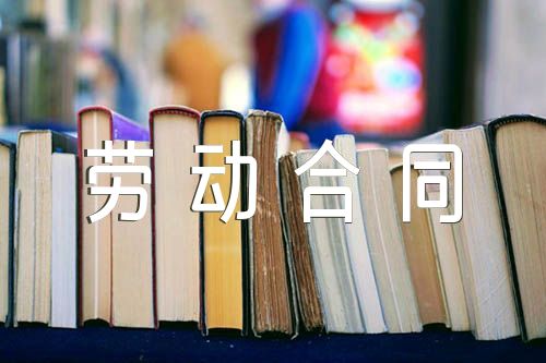 劳动合同2023【汇编六篇】